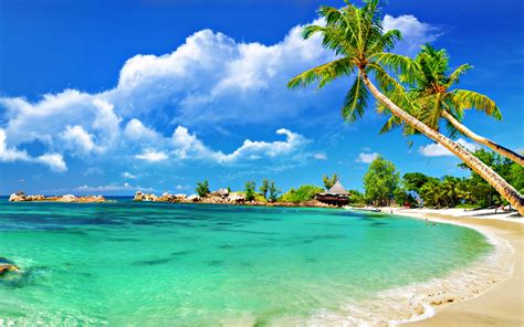 free beach background wallpaper|free desktop screensavers of beach.